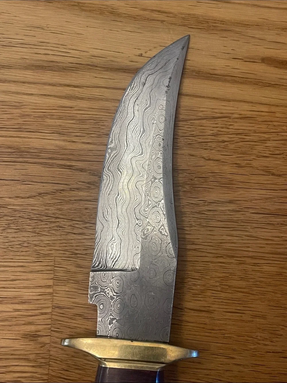 Damascus Blade Fixed Knife with Ivory-Tone and Blue Handle Accents